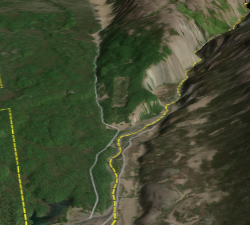 Húsafellsskógur